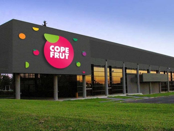 Copefrut y su estrategia para seguir creciendo dentro de los próximos 70 años Copefrut y su estrategia para seguir creciendo dentro de los próximos 70 años