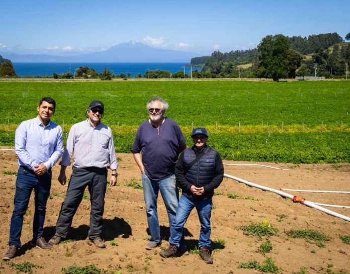 Corfo Los Lagos impulsa innovador modelo de Economía Circular que transforma residuos plásticos en sistemas de riego agrícola en la región