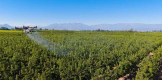 Del cielo a la tierra la “agricultura global” se construye desde el subsuelo hasta el espacio exterior