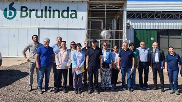 Delegación china recorre plantaciones de carozos de Mendoza para avanzar en acuerdo de exportación