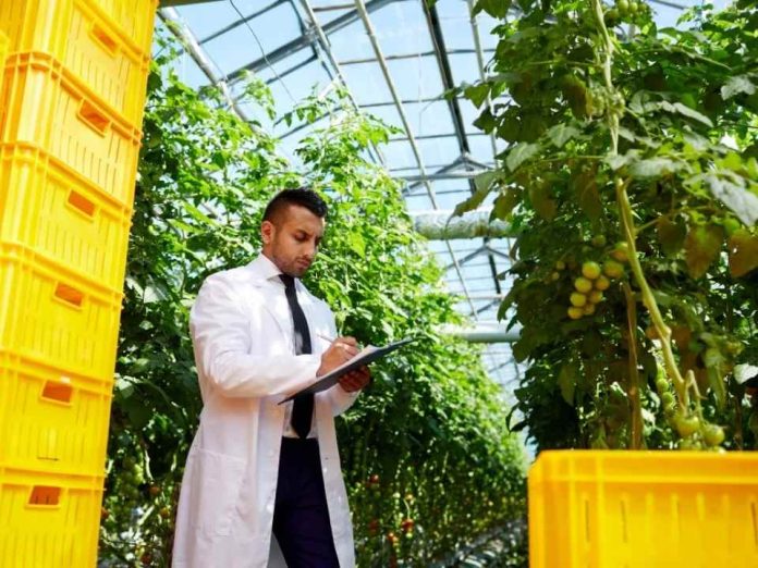 Dubai Aeroponía de Alta Precisión Parámetros Técnicos y Eficiencia en la Optimización de Cultivos de Alto Valor Dubai / Aeroponía de Alta Precisión: Parámetros Técnicos y Eficiencia en la Optimización de Cultivos de Alto Valor