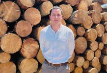 El Salto Digital de la Pyme Forestal: Una oportunidad para liderar el futuro El Salto Digital de la Pyme Forestal: Una oportunidad para liderar el futuro