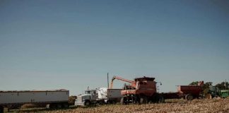 El rol clave de la maquinaria agrícola en la prevención y combate de incendios forestales en Chile