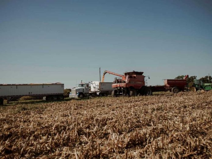 El rol clave de la maquinaria agrícola en la prevención y combate de incendios forestales en Chile El rol clave de la maquinaria agrícola en la prevención y combate de incendios forestales en Chile