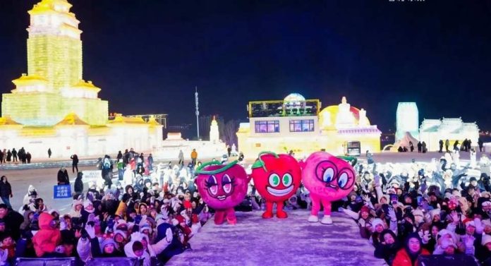 Embajador de Chile en China inaugura oficialmente el «Festival de Hielo y Nieve de las Cerezas Chilenas»