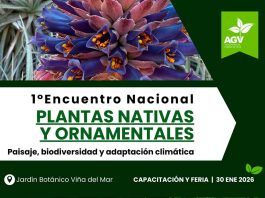 1° Encuentro Nacional de Plantas Nativas y Ornamentales: Oportunidad de Negocio y Posicionamiento para las marcas líderes del sector 1° Encuentro Nacional de Plantas Nativas y Ornamentales: Oportunidad de Negocio y Posicionamiento para las marcas líderes del sector