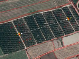 Ensayo de polinización con polen puro en plantación de cerezo en Albalate de Cinca (Aragón, España) | Zimex – EuroPollen Ensayo de polinización con polen puro en plantación de cerezo en Albalate de Cinca (Aragón, España) | Zimex - EuroPollen