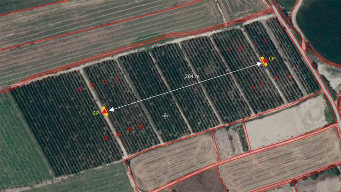 Ensayo de polinización con polen puro en plantación de cerezo en Albalate de Cinca (Aragón, España) | Zimex - EuroPollen