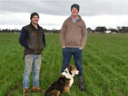 Ensayos en fincas para una huella de carbono baja