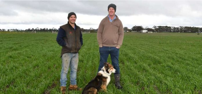 Ensayos en fincas para una huella de carbono baja