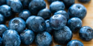 Túnez: Arándanos abren ruta a India y Rusia