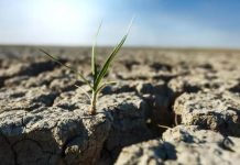 España | Qué es la bancarrota hídrica mundial y por qué la ONU alerta de pérdidas irreversibles de agua dulce