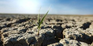 España | Qué es la bancarrota hídrica mundial y por qué la ONU alerta de pérdidas irreversibles de agua dulce