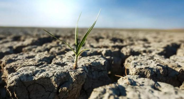España | Qué es la bancarrota hídrica mundial y por qué la ONU alerta de pérdidas irreversibles de agua dulce