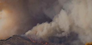 Estado de Catástrofe para regiones del Biobío y Ñuble por incendios forestales