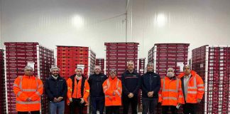 Exportación de cerezas