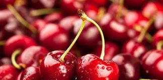 Exportaciones de cerezas en picada las tormentas arrasaron con las cifras de 2025