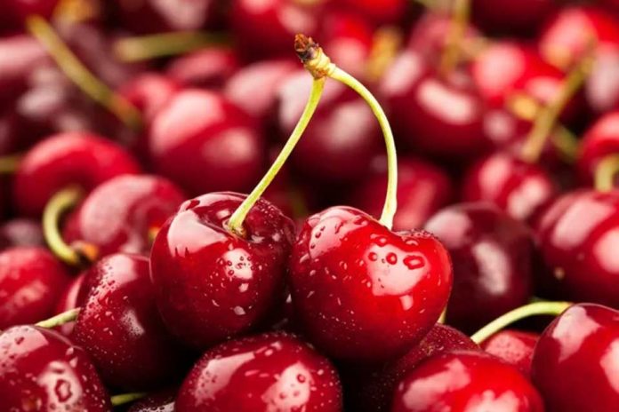 Exportaciones de cerezas en picada las tormentas arrasaron con las cifras de 2025 Exportaciones de cerezas en picada las tormentas arrasaron con las cifras de 2025