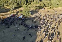 Todo lo que necesitas saber para disfrutar de la FAGAF 2026 en Cañete FAGAF 2026