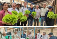 FIA impulsa sistema circular de acuaponía de hortalizas hidropónicas y truchas con IA en Limache