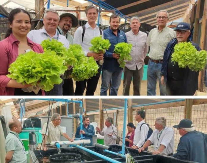 FIA impulsa sistema circular de acuaponía de hortalizas hidropónicas y truchas con IA en Limache FIA impulsa sistema circular de acuaponía de hortalizas hidropónicas y truchas con IA en Limache