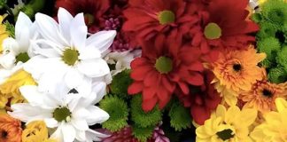 Floricultura colombiana se prepara para un 2026 retador y lleno de presión