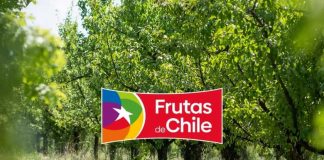 Declaración pública Frutas de Chile – Nuevo ministro de Agricultura