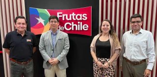 Frutas de Chile y Agregado Agrícola de Chile en Indonesia definen acciones para potenciar las exportaciones de frutas frescas este 2026