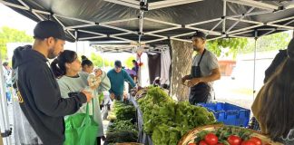 INDAP Biobío destaca avances en agricultura sostenible, comercialización y juventudes rurales durante 2025