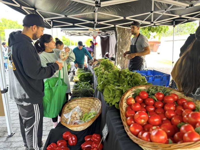 INDAP Biobío destaca avances en agricultura sostenible, comercialización y juventudes rurales durante 2025