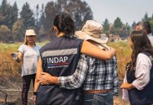 INDAP activa plan de alivio financiero inmediato para agricultores de Ñuble y Biobío ante emergencia por incendios