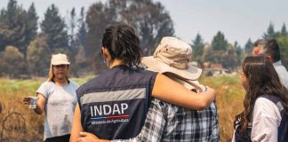 INDAP activa plan de alivio financiero inmediato para agricultores de Ñuble y Biobío ante emergencia por incendios