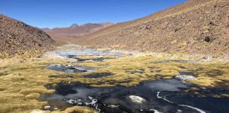 INICIA PROCESO PARTICIPATIVO PARA DEFINIR PRIMEROS INDICADORES DE SEGURIDAD HÍDRICA DEL PAÍS