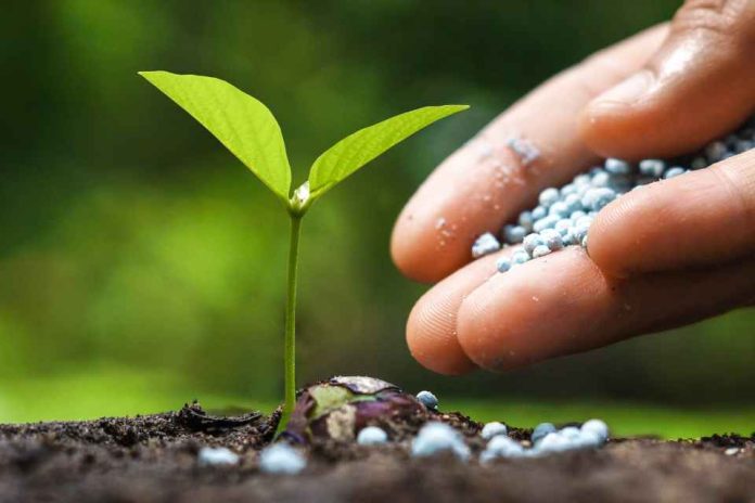 Iansa Insumos Agrícolas: Liderando la Innovación y la sostenibilidad del Agro en Chile