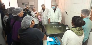 Impulsan gira técnica para fortalecer la producción caprina lechera en Atacama