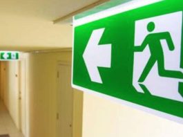 Incendios en Ñuble y Biobío ponen en evidencia brecha crítica en evacuaciones