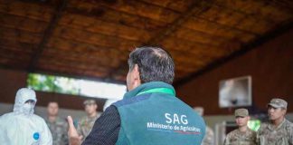 Incendios forestales: capacitan a brigadas del Ejército en rescate de fauna y animales domésticos