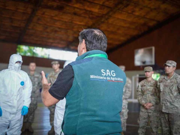 Incendios forestales capacitan a brigadas del Ejército en rescate de fauna y animales domésticos Incendios forestales: capacitan a brigadas del Ejército en rescate de fauna y animales domésticos