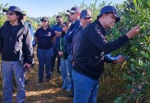 Inspectores del Departamento de Agricultura de Tailandia visitan Chile para actualizar protocolo fitosanitario para la exportación de arándanos frescos Inspectores del Departamento de Agricultura de Tailandia visitan Chile para actualizar protocolo fitosanitario para la exportación de arándanos frescos