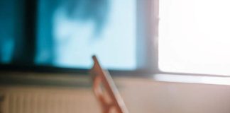 Mascotas y ola de calor: Claves para protegerlos manteniendo una temperatura adecuada en los espacios interiores y exteriores de tu hogar