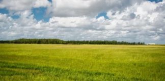 La Comisión Europea recaba opiniones sobre la futura certificación voluntaria para la captura de carbono en suelos agrícolas