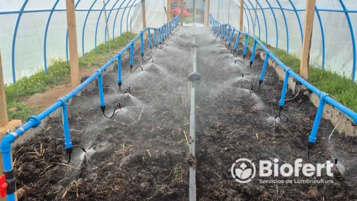 Biofert, expertos en Lombricultura, para la nutrición frutícola: Retorno de inversión en un año mediante bio fertilización líquida de alta eficiencia