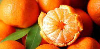 Mandarinas en la Unión Europea: choque de trenes España-Sudáfrica