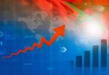 Marruecos, nuevo estándar de productividad en la industria global del arándano