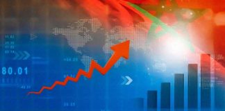 Marruecos, nuevo estándar de productividad en la industria global del arándano