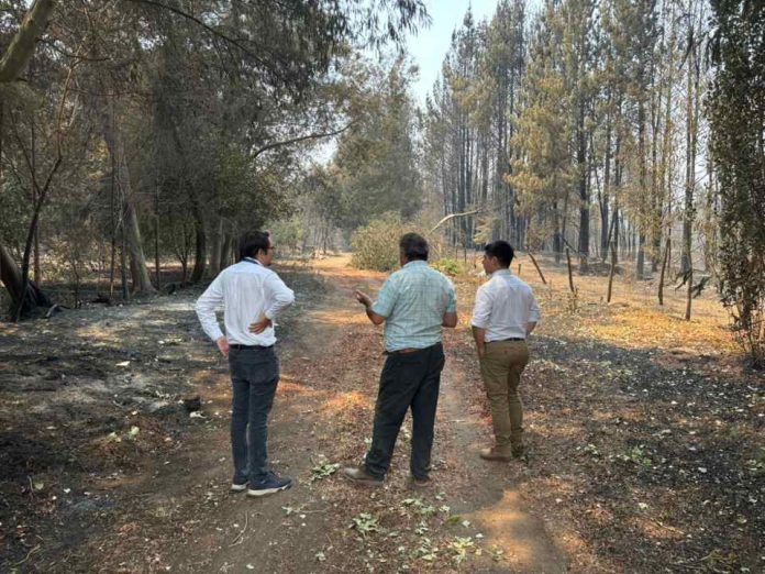 Ministerio de Economía inicia levantamiento de información para activar instrumentos de reconstrucción productiva en regiones afectadas por incendios forestales