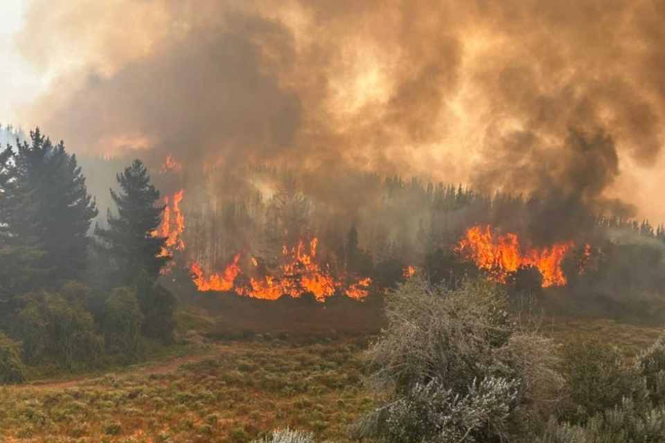 Ministra Ignacia Fernández llega a Ñuble como ministra enlace del Gobierno por incendios forestales