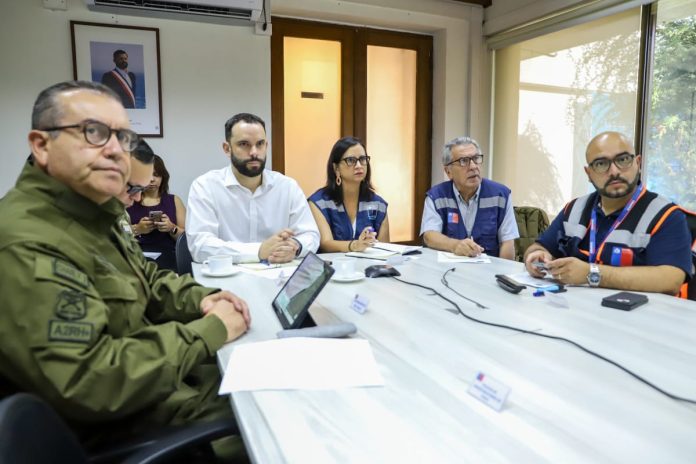 NŞuble 3 Ministra de Agricultura hace llamado a la responsabilidad en medio de incendios forestales que afectan a la Región de Ñuble