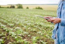 Ñuble abre convocatorias por $2.400 millones para fortalecer la inversión y el turismo en empresas y emprendedores de la región