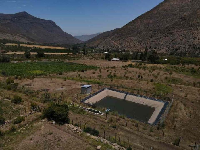 Pequeña agricultora de Salamanca optimiza el riego de sus cultivos mediante proyecto bonificado por la Ley de Riego Pequeña agricultora de Salamanca optimiza el riego de sus cultivos mediante proyecto bonificado por la Ley de Riego